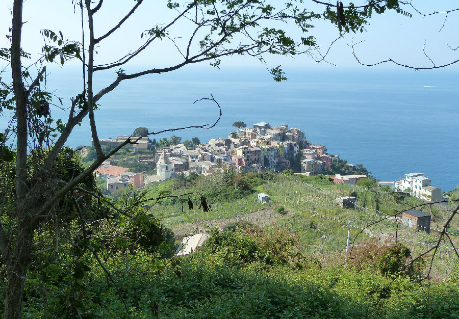 Veduta di Corniglia