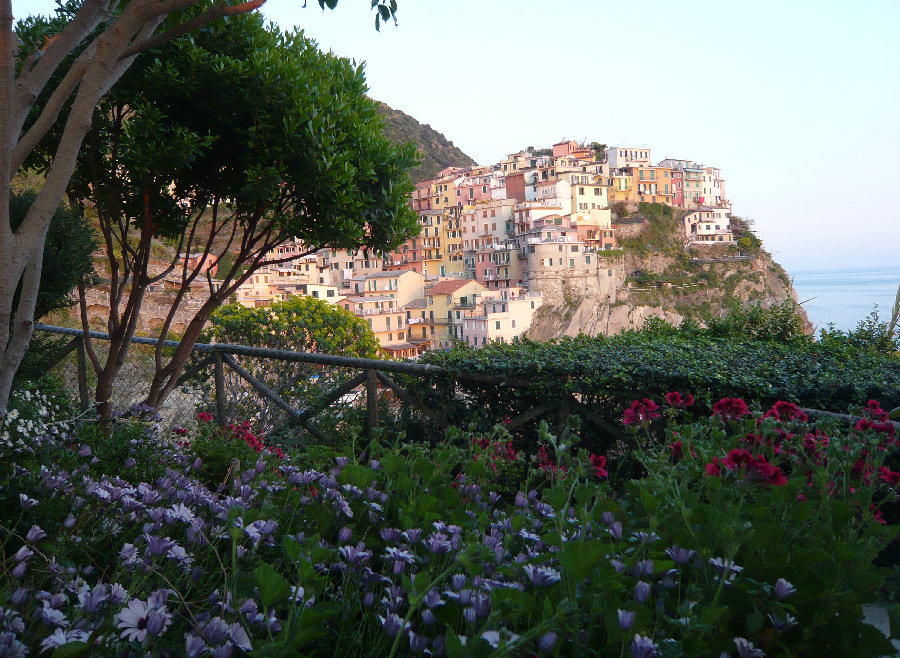 Manarola con fiori