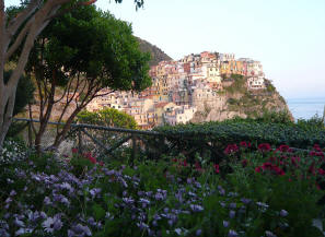 Manarola con fiori