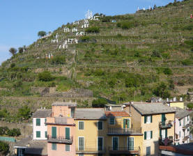 Manarola con i pastori del presepe