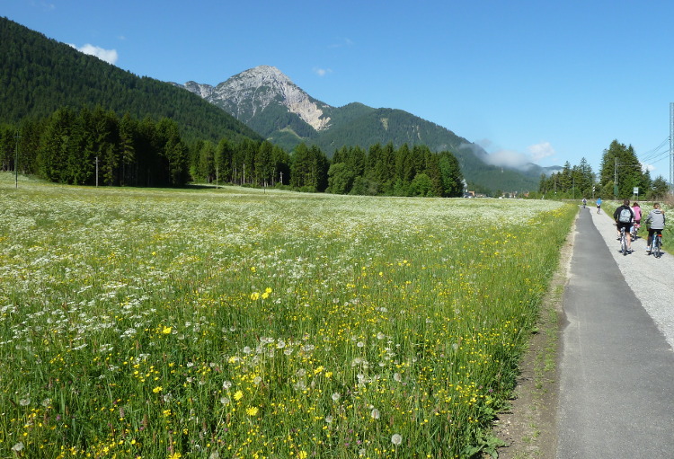 Pista ciclabile di San_Candido - Dobbiaco