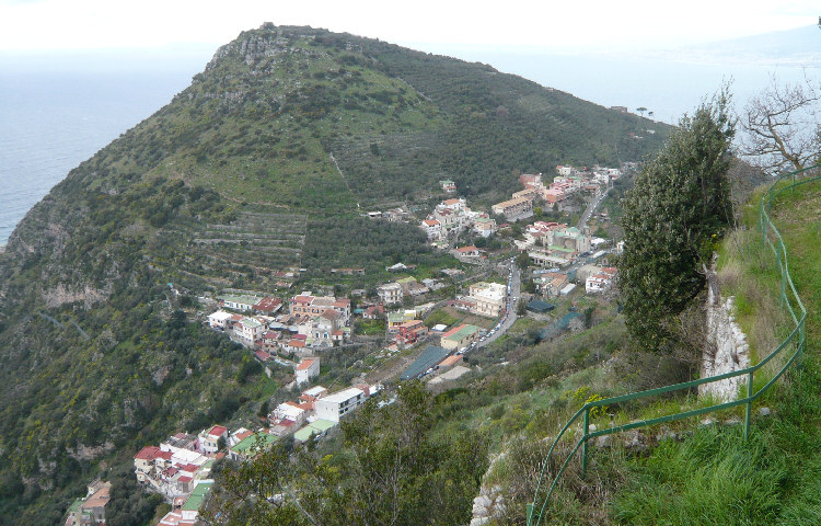 Alberi Meta_di_Sorrento