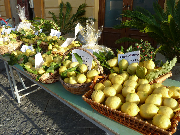 Limoni di MassaLubrense