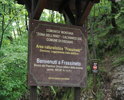 Frassineto