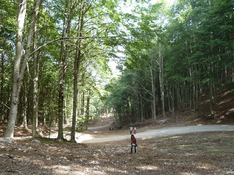 Salita al Monte Raiamagra