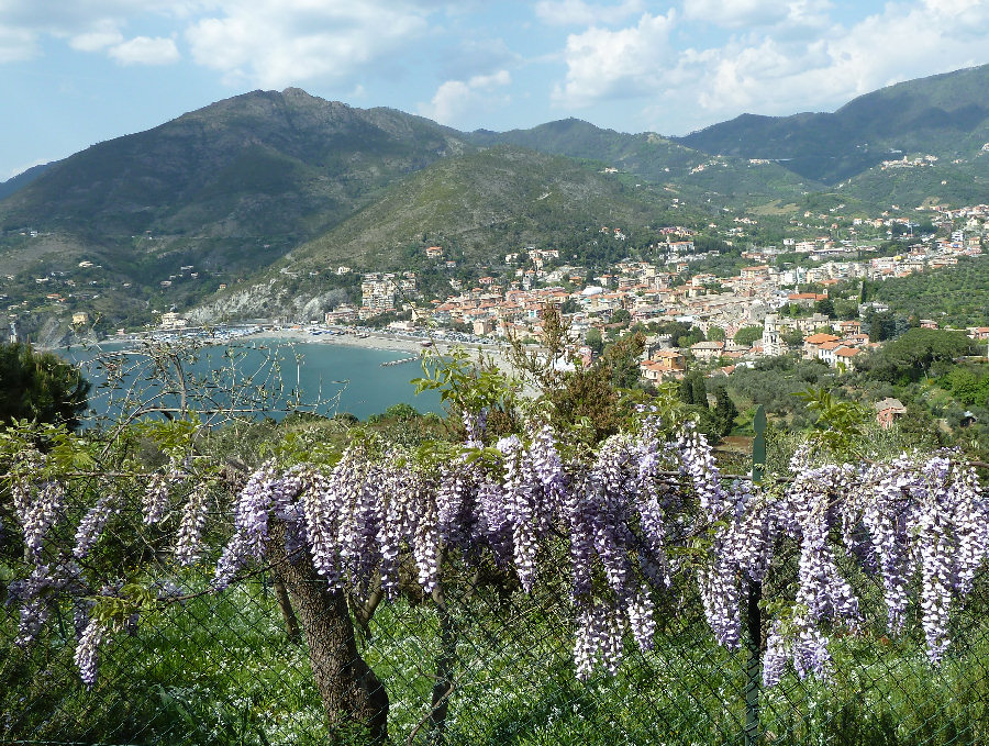 Levanto