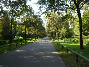 Parco_Reale_ di_Monza