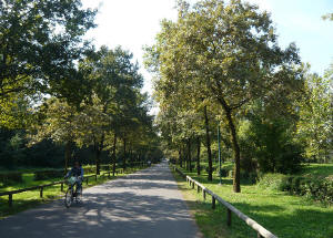 Pista_Ciclabile Parco Reale di Monza