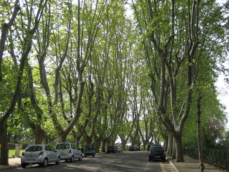 Passeggiata del Gianicolo