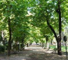 Sentiero di Villa_Borghese