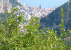 Limoneto e veduta di Amalfi