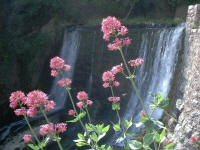 Cascata fiume Auso