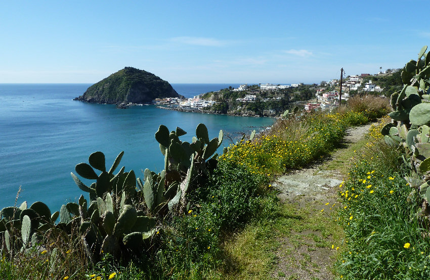 Sant'Angelo_di_Ischia