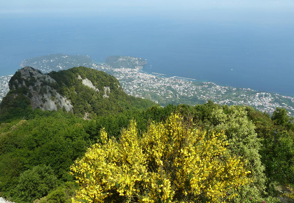 Veduta dal Monte_Epomeo