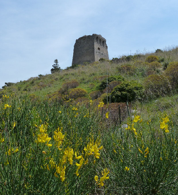 Torre_di_Montalto