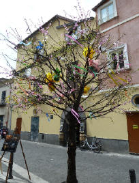 Albero_pasquale al Casale