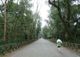 Viale_centrale del Parco di Capodimonte