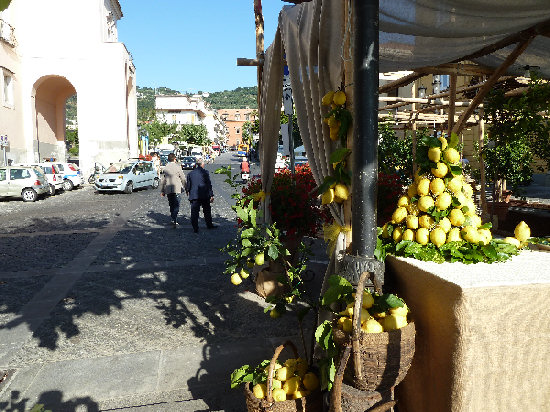 Immagine Sagra del limone di aAssa Lubrense